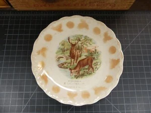Vintage Beautiful Deer Buck Woods Scene Plate Advertising Giveaway Grocery 7" - Picture 1 of 4