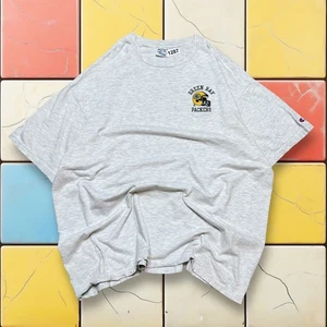 VTG Green Bay Packers Champion Tee 90s Men 2XL Gray NFL Football Embroidered USA - Picture 1 of 12