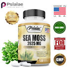 Sea Moss Capsules 2625mg - Irish Moss & Burdock Root - Thyroid & Immune Support