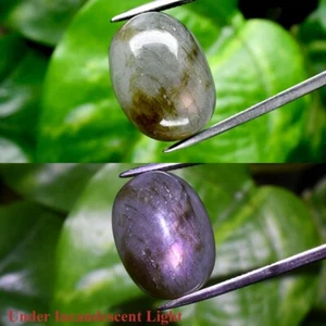 28.11ct 19.8x14.8mm Oval Cab Natural Rainbow With Luster Labradorite Gemstone - Picture 1 of 6