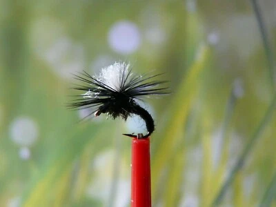 SHIMAFISHING Trockenfliege " Klinki Black Variant " 3er Set