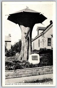 Corydon Indiana ~ alter konstitutioneller Ulmenstumpf ~ 1935 s/w Postkarte - Bild 1 von 2
