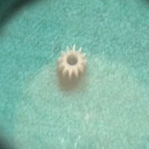 ROLEX 1030 - 1035 setting wheel #6965* - Picture 1 of 1