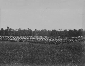 Wagon Park, Brandy Station, Virginia by Timothy H O'Sullivan Giclee Art Print - Picture 1 of 3