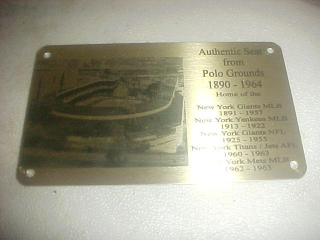  PLACA ASIENTO ESTADIO CAMPO POLO GIGANTES Foto 1 de 1