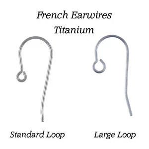 USA French Earwire - Titanium - Large or Standard Loop - Bild 1 von 3