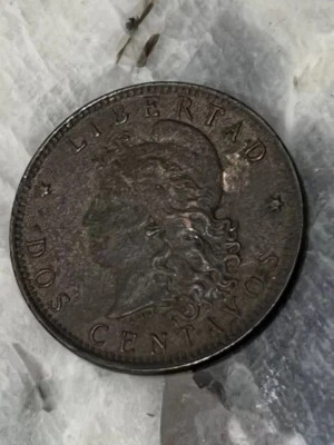 Moneda Argentina 1891 2 centavos Foto 1 de 4