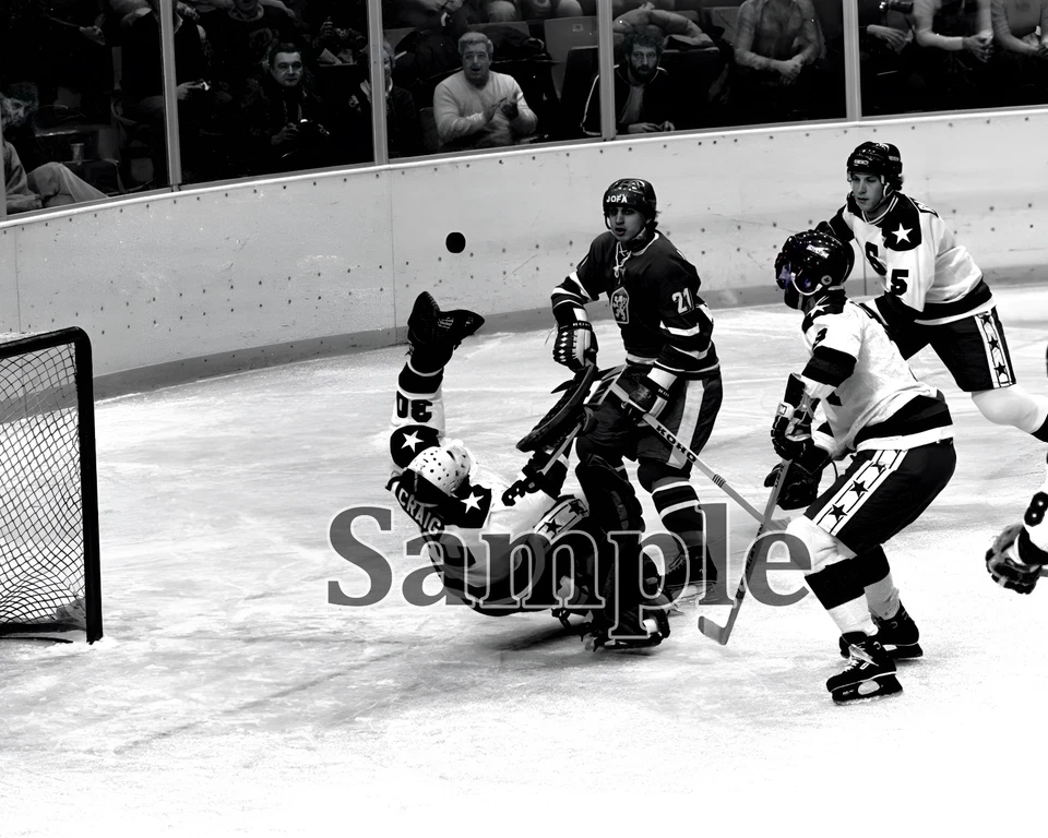 Team USA 1980 Lake Placid Winter Olympics Jim Craig Game Action 8 X 10 Photo - Image 1 of 1