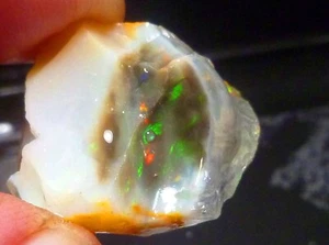 Virgin Valley Nero Opale Pregiato Legno Pietrificato Nevada 41,2 ct! - Foto 1 di 9