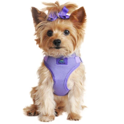 Doggie Design Wrap and Snap Choke Free Dog Harness - Paisley Purple - Image 1 of 4