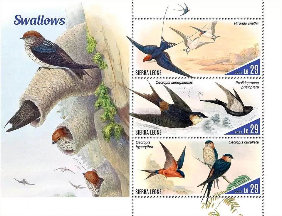 SWALLOWS Swallow Songbirds Birds/Bird MNH 3v-Stamp Sheet #2141 2022 Sierra Leone - Image 1 of 1