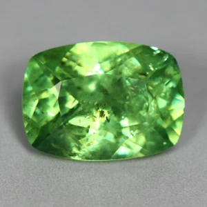 1.02 CTS_RARE HORSE TAIL_100 % NATURAL UNHEATED GREEN DEMANTOID GARNET_NAMIBIA - Picture 1 of 3
