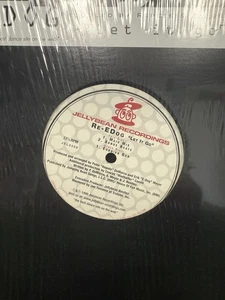 Re-EDog - Let It Go - USA 12" Vinyl - 1999 - Jellybean Recordings, Inc. - Picture 1 of 2