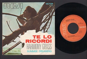7" HARMONY GRASS TE LO RICORDI / SUMMER DREAMING ITALY 1970 IN ITALIANO RCA  - Imagen 1 de 1