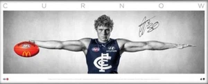 AFL Carlton Blues Charlie Curnow Hand Signed Full Size Wings Print CRIPPS - Picture 1 of 2
