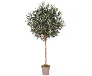 Olivenbaum 125cm kugelform Ø 40cm mit 640 Blätter und 60 Olivenvon ibizanos - Bild 1 von 4
