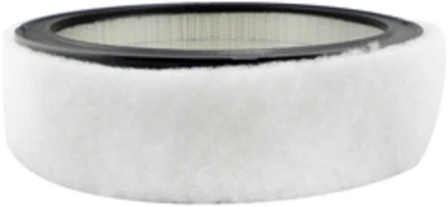 Filtro de ar Hastings PA2073 - Imagem 1 de 1