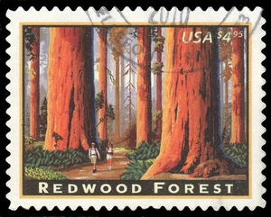 Scott 4378, The $4.95 Redwood Forest Issue - Used - Picture 1 of 1