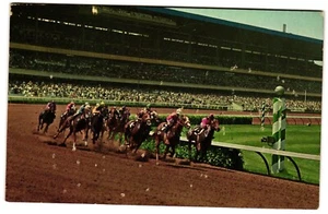 Vintage Hollywood Park, Inglewood, CA Pferderennen Strecke 3,5x5,5 Postkarte unverpostet - Bild 1 von 2