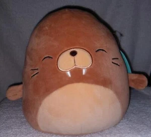 Squishmallows Bruce the Walrus 8" nuevo con etiquetas - Imagen 1 de 2