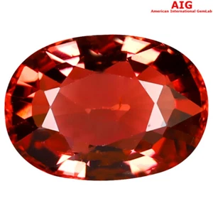 3.09 ct AIG Certified Lovely Oval Shape (11 x 8 mm) Orange Pink Tourmaline - Picture 1 of 2