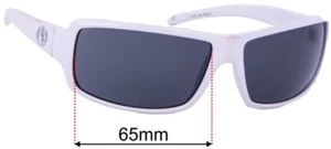Lentes de repuesto para gafas de sol SFx se adaptan a EC/DC XL - 65 mm de ancho - Imagen 1 de 31