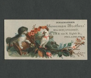 Victorian Trade Card SHONEMAN BROTHERS Philadelphia, Poodle Dog & White Parakeet - Picture 1 of 2