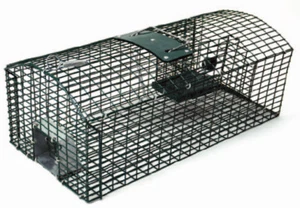 Premium Profi Rattenfalle mit zwei Eingängen Kieferle Massenfang Ratte 000.033 - Bild 1 von 2