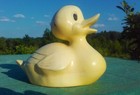 GROSSE HARTPLASTIK ENTE GEMARKT S LOGO VINTAGE 50ER DUCK CANARD ENTCHEN SELTEN 