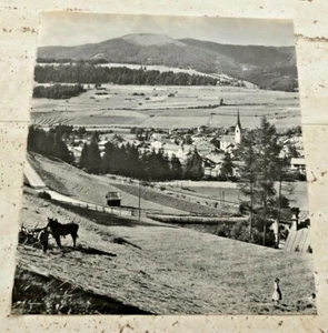 Ritaglio originale del 1967 Monguelfo nell'aperta Val Pusteria - Picture 1 of 1