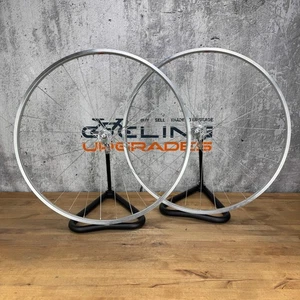 Juego de ruedas cubierta de aleación Pacenti Brevet 700c freno de llanta Campagnolo bujes de registro - Imagen 1 de 9