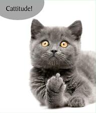 Funny Grey Cat Greeting Card Rude Naughty Birthday Card Cattitude Cat Lovers 