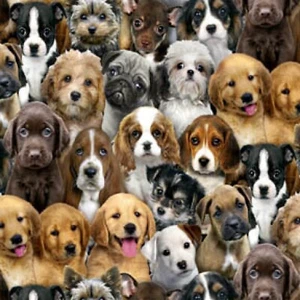 Last Yard (38"L x 45"W) Adorable Pets - Dogs Black Cotton Fabric #3800E - Picture 1 of 3