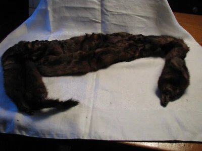 Estola/capa/chal Estate Find de piel de visón múltiple marrón chocolate 57" de largo de extremo a extremo Foto 1 de 4