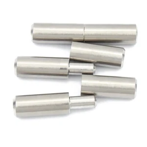 Cerniere per saldatura a canna, 50 mm x 12 mm 201 perno per cerniera in acciaio inox 2 paia - Foto 1 di 2