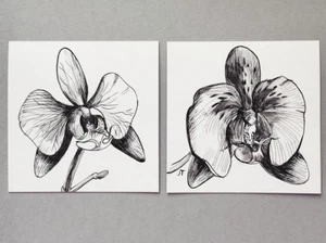 ACEO Origina Tusche Orchideen Zeichnung auf Papier SET Blume - Bild 1 von 5