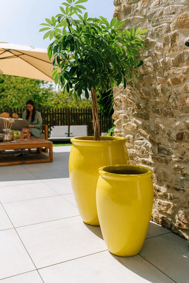 Blumentopf für Draußen Pflanzkübel Keramik frostfest für Garten Gelb Bacchus - Bild 1 von 4