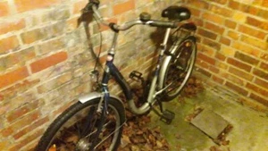 Pegasus Damenfahrrad Cityfahrrad 26er - Bild 1 von 2