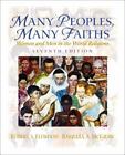 Many Peoples, Many Faiths: Women and Men in the World Religions (7th Edition)