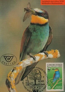 Maxi tarjeta estampilla Bird Eat an Insect Austria fauna naturaleza 1988 - Imagen 1 de 1