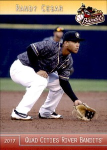 2017 Quad Cities River Bandits Grandstand #7 Randy Cesar Dominican Republic Card