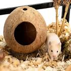 Coconut Hut Hamster House Bed: for Gerbils Parrot Guinea Pig Mice Small Animal