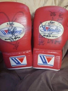 Winning boxing gloves autographed - Picture 1 of 2