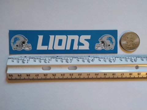 NFL Detroit Lions Team Magnet Put On Refrigerator Or Any Metal Surface Cover