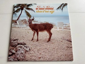 RARE FRUIT BATS GOLD PAST LIFE -LTD. AQUA VINYL LP + 7"- VINYL RECORD - Picture 1 of 10