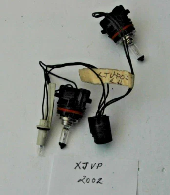 Arnés de cables para faros Jaguar XJ8 1998-2003 4,0 L con bombillas izquierda OEM Foto 1 de 3