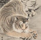 Japanese Painting Hanging Scroll Japan Tiger Old Art Picture Antique 129R