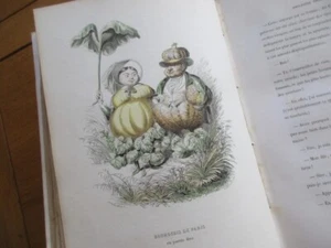 SELTEN L ' EMPIRE DES LEGUMES MEMOIRES DE CUCURBITUS 1ER VARIN MERAY LITHOGRAPHIEN - Bild 1 von 15