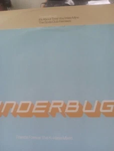 Thunderbugs 12" Vinyl Promo Mini Collection 2 Discs 4 Mixes Friends Forever Mine - Picture 1 of 5
