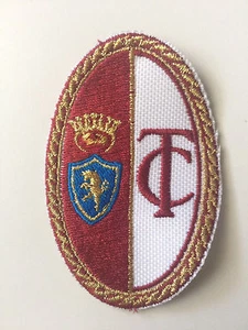[ Patch ] Armas Torino Fútbol Vintage CM 4,8 x 7,5 Bordado Replica -559 - Imagen 1 de 1